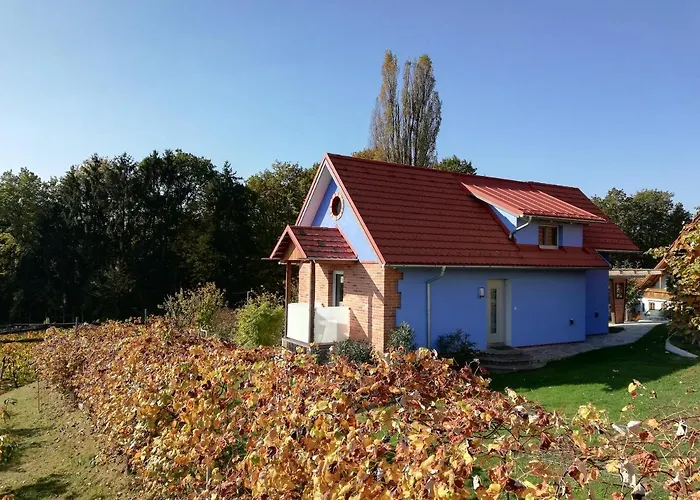 Holiday home Ulrichsbrunn *