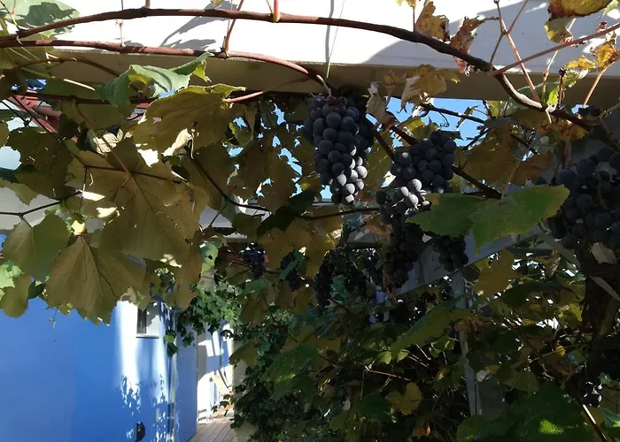 Prázdninový dům Ulrichsbrunn *